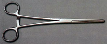 B233/504 forcep