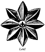 Product Diagram